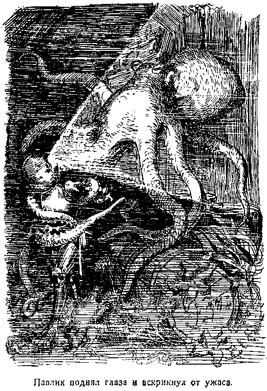 Тайна двух океанов (илл. В. Ермолов) pic_16.png