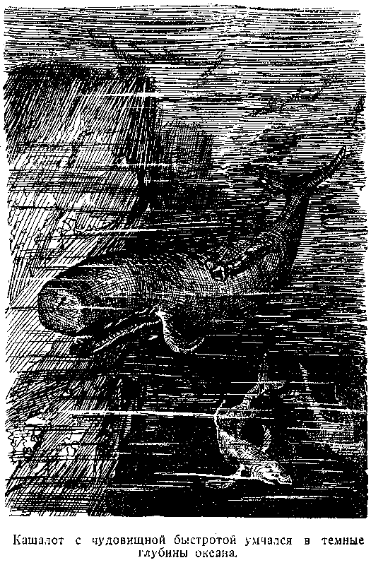 Тайна двух океанов (илл. В. Ермолов) pic_17.png