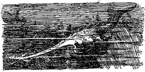 Тайна двух океанов (илл. В. Ермолов) pic_21.png