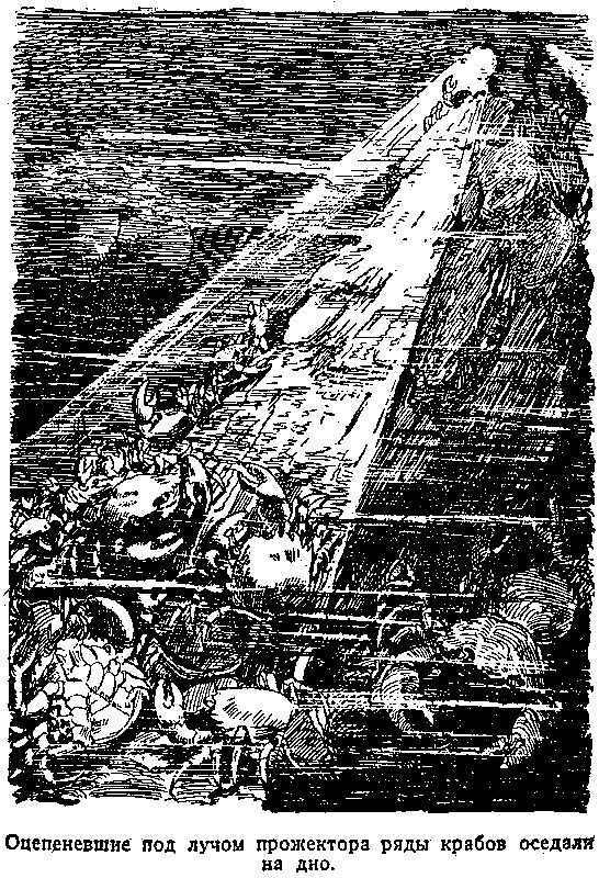 Тайна двух океанов (илл. В. Ермолов) pic_23.png