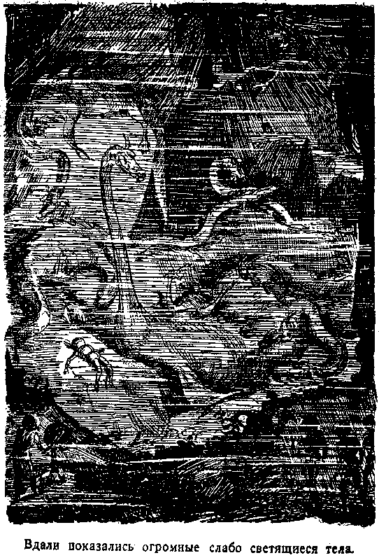 Тайна двух океанов (илл. В. Ермолов) pic_25.png