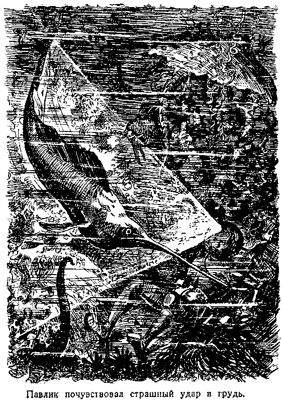 Тайна двух океанов (илл. В. Ермолов) pic_7.png