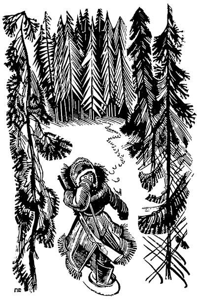 Чердачный чорт (сборник рассказов) i_007.png