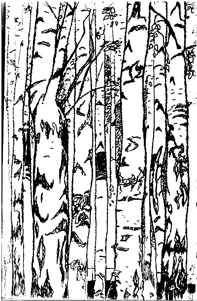 Семигорье _1.png