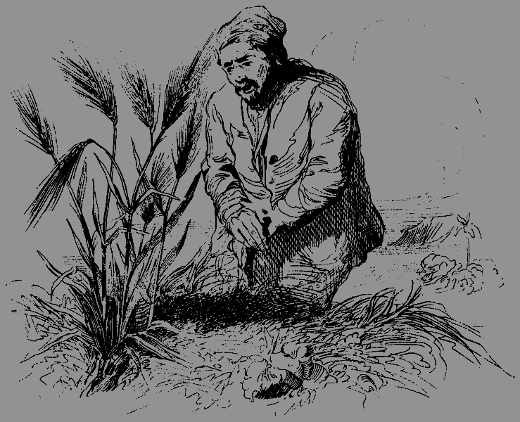 Робинзон Крузо. История полковника Джека id66288_g13.png