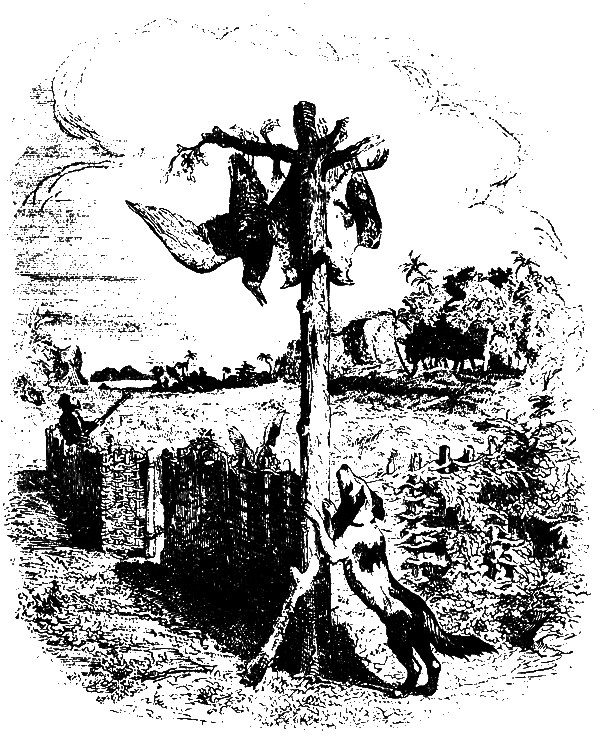 Робинзон Крузо. История полковника Джека id66288_g16.png