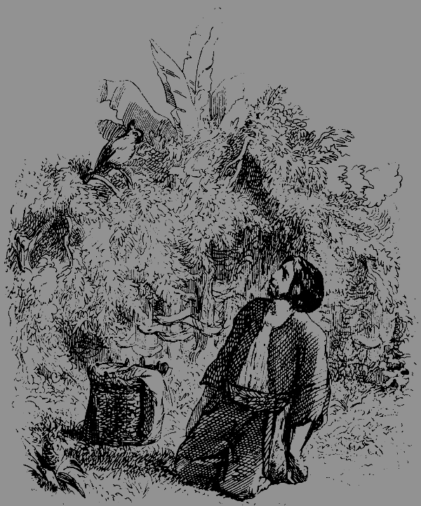 Робинзон Крузо. История полковника Джека id66288_g22.png