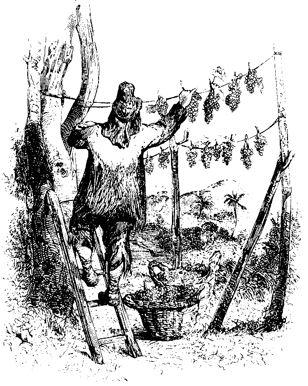 Робинзон Крузо. История полковника Джека id66288_g27.png