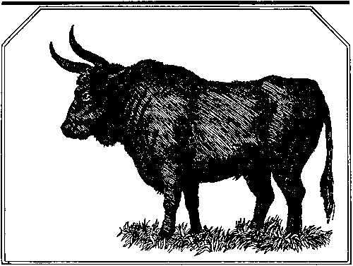 Плутония. Земля Санникова (илл. В. Клименко) pic_30.png