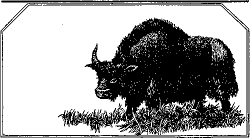 Плутония. Земля Санникова (илл. В. Клименко) pic_6.png