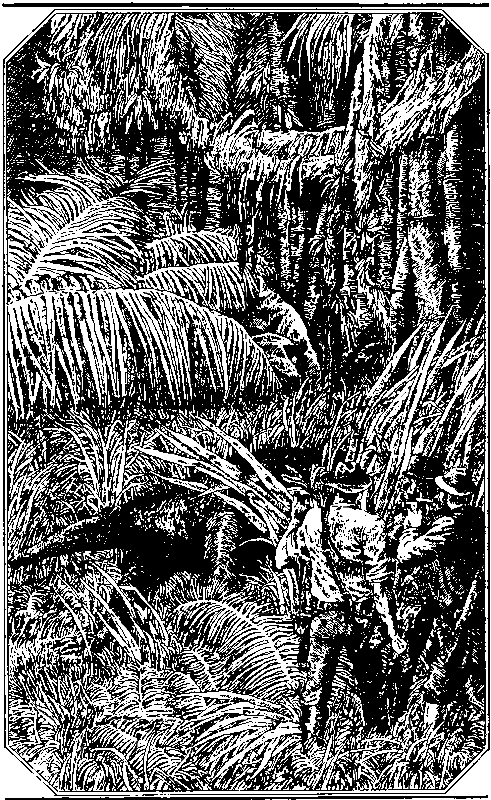 Плутония. Земля Санникова (илл. В. Клименко) pic_8.png