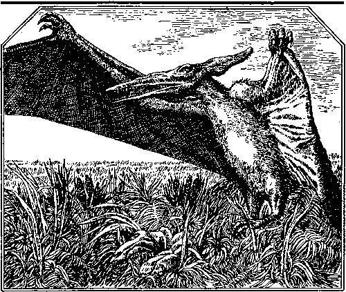 Плутония. Земля Санникова (илл. В. Клименко) pic_13.png