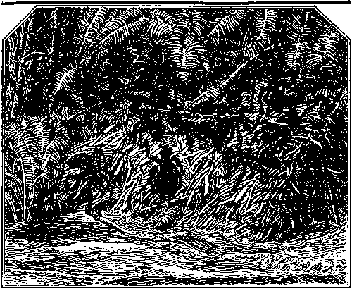 Плутония. Земля Санникова (илл. В. Клименко) pic_17.png