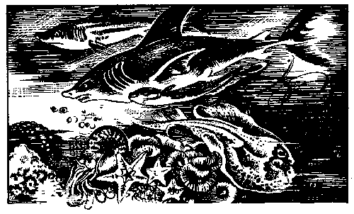 Великий Гусляр (илл. А. Кожановский) pic_8.png