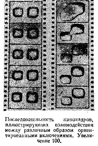 Живой кристалл _98.jpg