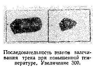 Живой кристалл _100.jpg