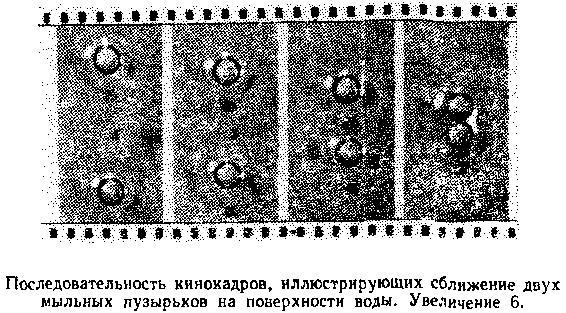 Живой кристалл _10.jpg