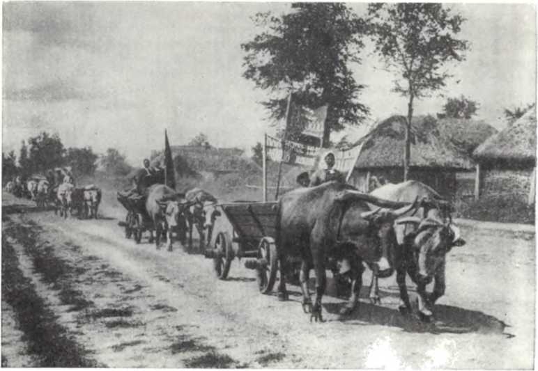 История Украинской ССР в десяти томах. Том восьмой img_197.jpg