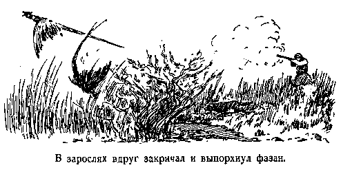 В дебрях Центральной Азии (записки кладоискателя) pic_31.png