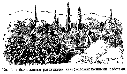 В дебрях Центральной Азии (записки кладоискателя) pic_43.png
