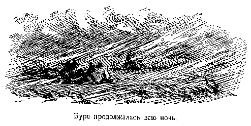 В дебрях Центральной Азии (записки кладоискателя) pic_49.png