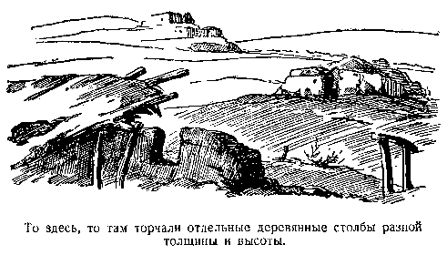 В дебрях Центральной Азии (записки кладоискателя) pic_51.png