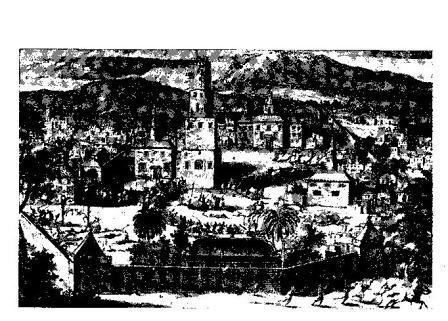 Современники и потомки о восстании С.Т. Разина i_002.jpg