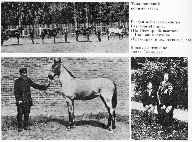 Впечатления моей жизни _039.jpg