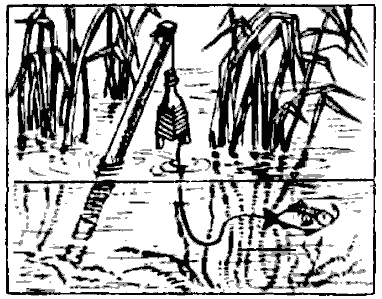 Рыбацкие секреты i_006.png