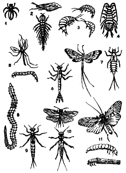 Рыбацкие секреты i_011.png