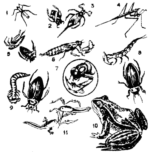 Рыбацкие секреты i_012.png