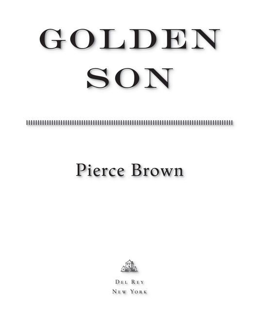 Golden Son _1.jpg
