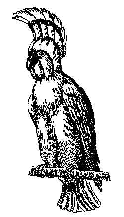 Дети капитана Гранта (илл. В. Клименко) pic_38.png