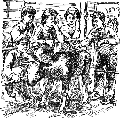 Васек Трубачев и его товарищи (илл. В.А. Красилевского) i_014.png