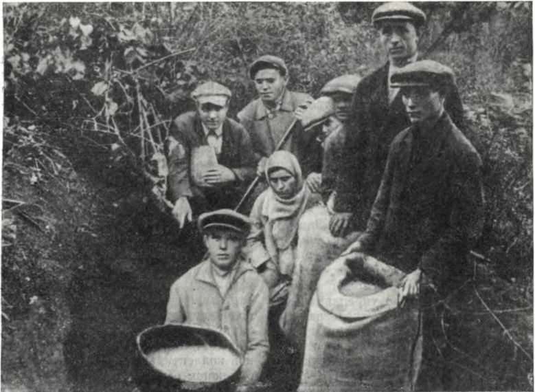 История Украинской ССР в десяти томах. Том седьмой img_55.jpg