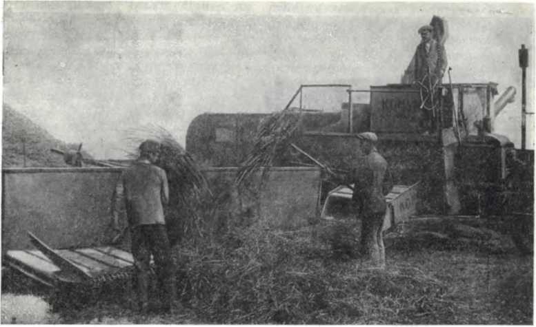 История Украинской ССР в десяти томах. Том седьмой img_59.jpg