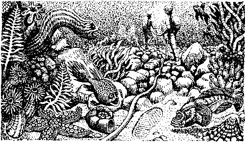Тайна двух океанов (илл. Ю. Коляденко) pic_9.png