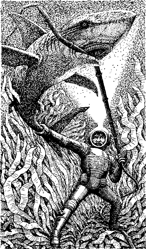 Тайна двух океанов (илл. Ю. Коляденко) pic_4.png