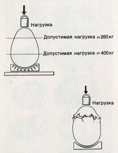 Зеркальный мир img_159.jpeg