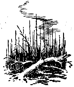 Пылающий остров (илл. Г. Макарова) pic_8.png
