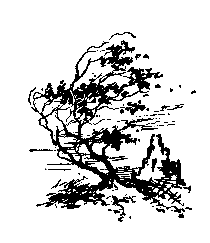 Пылающий остров (илл. Г. Макарова) pic_39.png