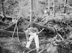 Green River, Running Red. The Real Story of the Green River Killer - America's Deadliest Serial Murderer _88.jpg