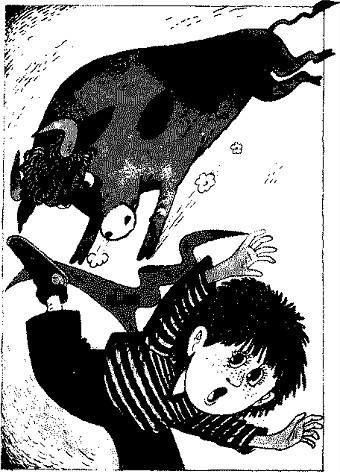 Сказки i_012.jpg