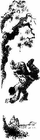Повесть об отроке Зуеве nonjpegpng__30.png