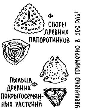 Путешествие по берегам морей, которых никто никогда не видел i_070.jpg