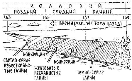 Путешествие по берегам морей, которых никто никогда не видел i_081.jpg