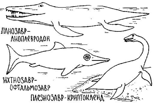 Путешествие по берегам морей, которых никто никогда не видел i_085.jpg