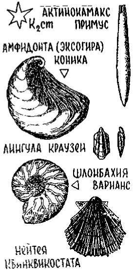 Путешествие по берегам морей, которых никто никогда не видел i_108.jpg
