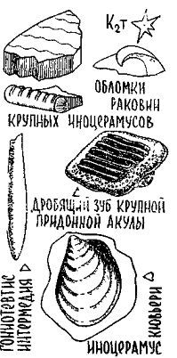 Путешествие по берегам морей, которых никто никогда не видел i_114.jpg