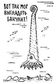 Путешествие по берегам морей, которых никто никогда не видел i_122.jpg